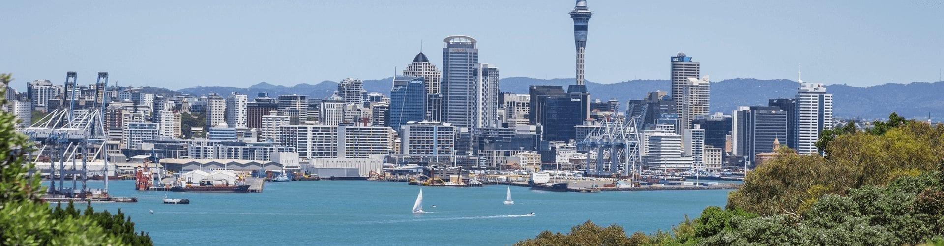Professional movers in Papakura, South Auckland